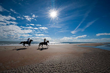 Brazil-Alagoas-The Coconut Trail Ride